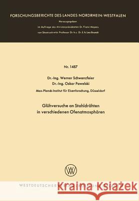 Glühversuche an Stahldrähten in Verschiedenen Ofenatmosphären Schwenzfeier, Werner 9783663005988