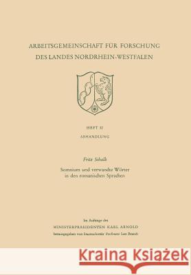 Somnium Und Verwandte Wörter in Den Romanischen Sprachen Schalk, Fritz 9783663010050 Vs Verlag Fur Sozialwissenschaften