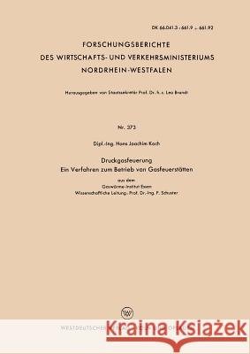 Druckgasfeuerung Ein Verfahren Zum Betrieb Von Gasfeuerstätten Koch, Hans Joachim 9783663035770 Vs Verlag Fur Sozialwissenschaften