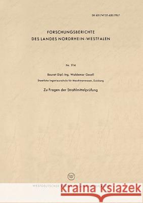 Zu Fragen Der Strahlmittelprüfung Gesell, Waldemar 9783663041542