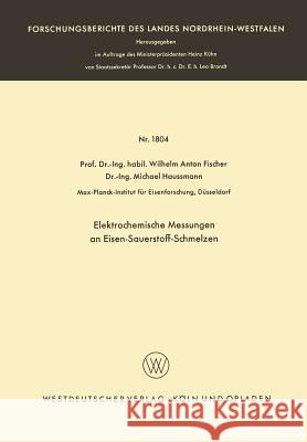 Elektrochemische Messungen an Eisen-Sauerstoff-Schmelzen Wilhelm Anton Fischer 9783663062783 Vs Verlag Fur Sozialwissenschaften