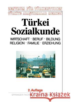 Türkei-Sozialkunde: Wirtschaft, Beruf, Bildung, Religion, Familie, Erziehung Zentrum Für Türkeistudien 9783663116639 Vs Verlag Fur Sozialwissenschaften