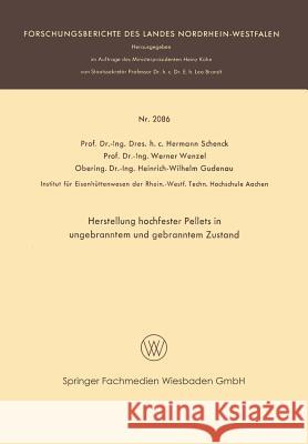 Herstellung Hochfester Pellets in Ungebranntem Und Gebranntem Zustand Hermann Rudolf Schenck Werner Wenzel Heinrich-Wilbelm Gudenau 9783663199533 Vs Verlag Fur Sozialwissenschaften