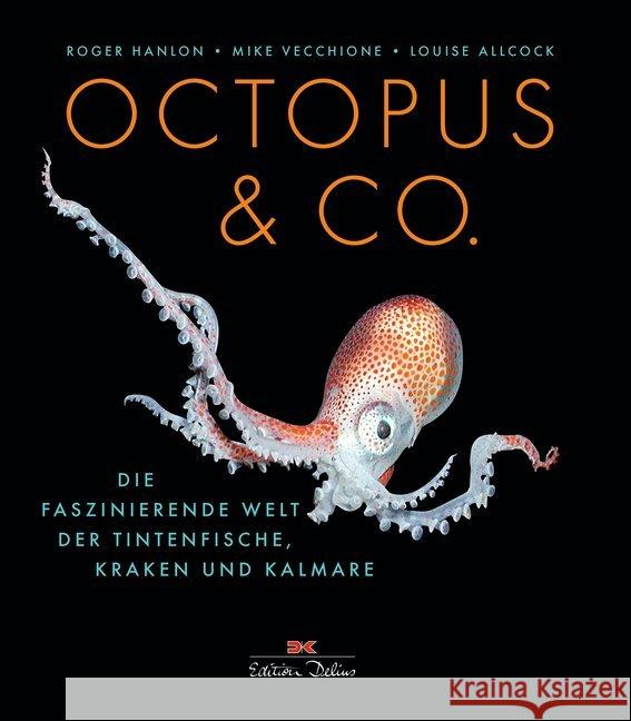 Octopus & Co. : Die faszinierende Welt der Tintenfische, Kraken und Kalmare Hanlon, Roger; Allcock, Luise; Vecchione, Mike 9783667115775 Delius Klasing