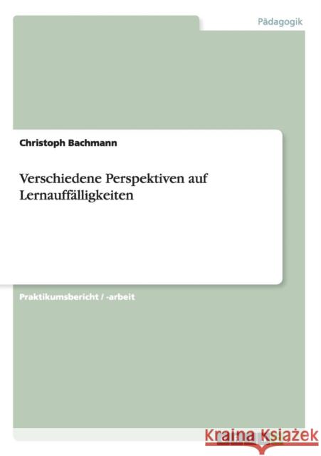 Verschiedene Perspektiven auf Lernauffälligkeiten Christoph Bachmann 9783668094581