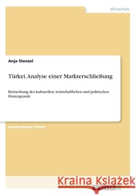 Türkei. Analyse einer Markterschließung: Betrachtung des kulturellen, wirtschaftlichen und politischen Hintergrunds Stenzel, Anja 9783668699342