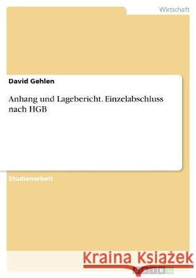 Anhang und Lagebericht. Einzelabschluss nach HGB David Gehlen 9783668751354