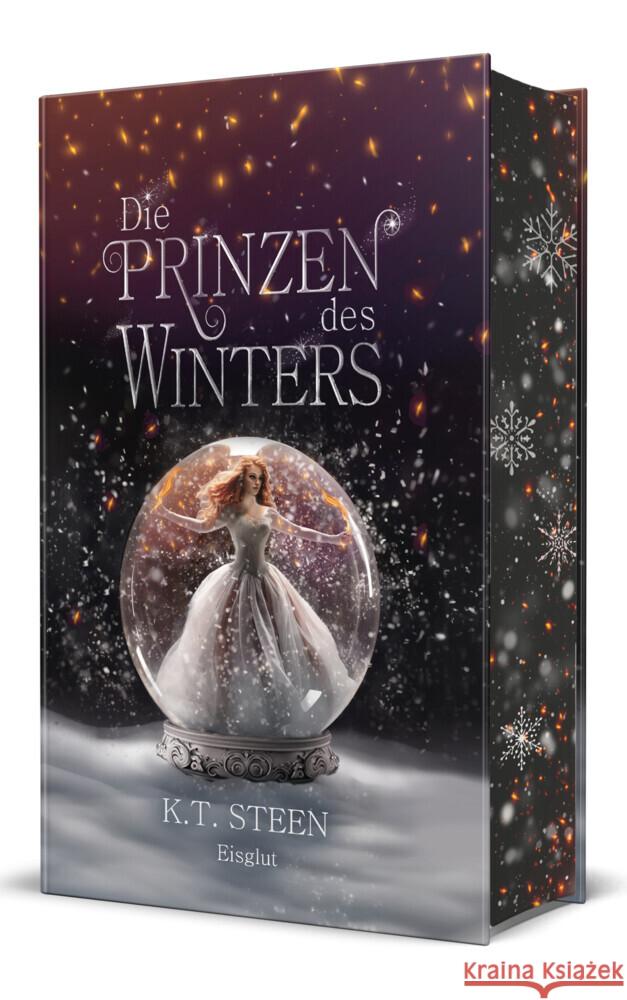 Die Prinzen des Winters Steen, K. T. 9783689370213 Edition Grace O`Malley