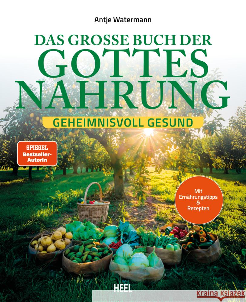 Das große Buch der Gottesnahrung Watermann, Antje 9783690190732