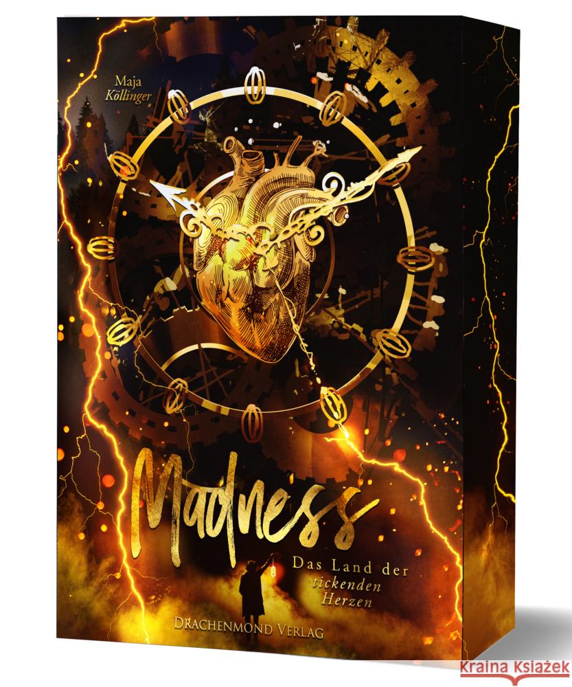 Madness - Das Land der tickenden Herzen Köllinger, Maja 9783691300611