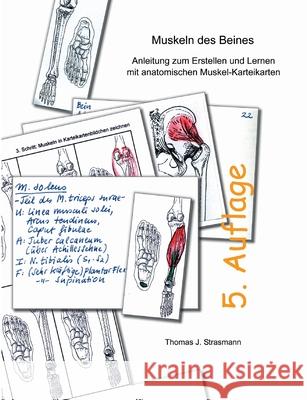Muskeln des Beines: Anleitung zum Erstellen und Lernen mit anatomischen Muskel-Karteikarten Thomas J. Strasmann 9783695190812 Bod - Books on Demand