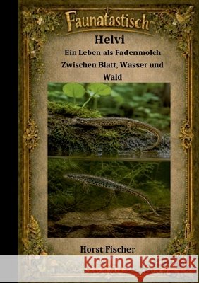 Faunatastísch #11 - Helvi der Fadenmolch: Softcover Ausgabe - Zwischen Blatt, Wasser und Wald Fischer, Horst 9783696358570