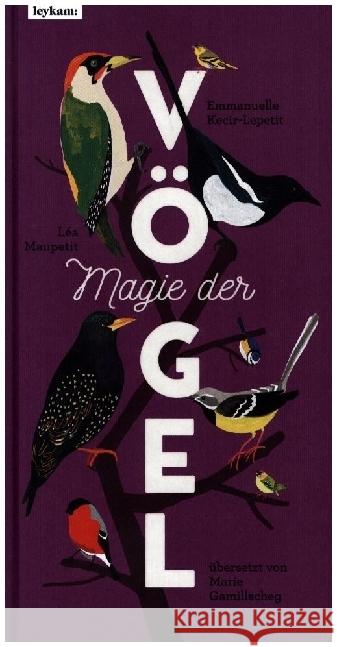 Magie der Vögel Kecir-Lepetit, Emmanuelle 9783701182992 Leykam