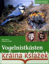 Vogelnistkästen in Garten & Wald : Bestimmungsbuch für Nester & Gelege Henze, Otto Gepp, Johannes  9783702009922