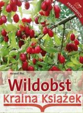 Wildobst und seltene Obstarten im Hausgarten Pirc, Helmut   9783702012120 Stocker