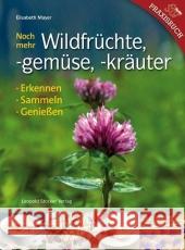 Noch mehr Wildfrüchte, -gemüse, -kräuter : Erkennen, Sammeln, Genießen Mayer, Elisabeth   9783702012144 Stocker