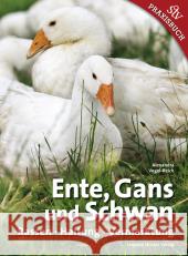 Ente, Gans und Schwan : Rassen - Haltung - Vermarktung Vogel-Reich, Alexandra 9783702015145