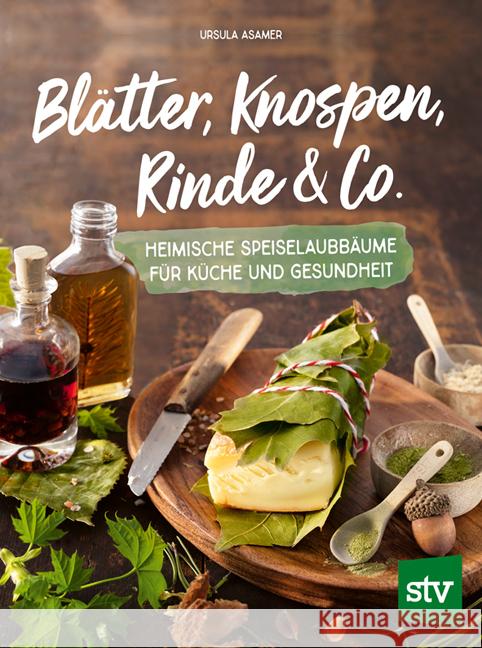 Blätter, Knospen, Rinde & Co. Asamer, Ursula 9783702019549