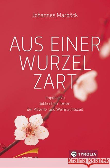 Aus einer Wurzel zart : Impulse zu biblischen Texten der Advent- und Weihnachtszeit Marböck, Johannes 9783702235550