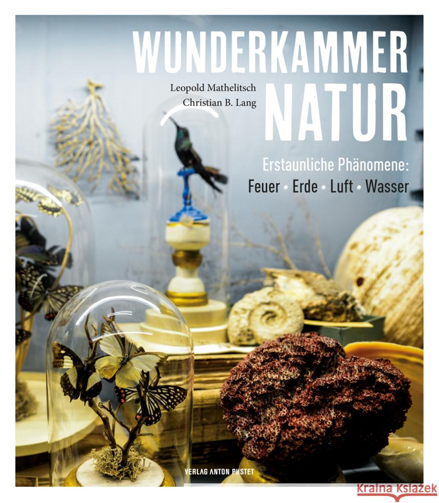 Wunderkammer Natur Mathelitsch, Leopold, Lang, Christian B. 9783702510763