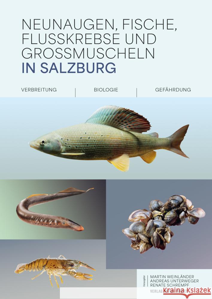 Neunaugen, Fische, Flusskrebse und Großmuscheln in Salzburg Weinländer, Martin, Unterweger, Andreas, Schrempf, Renate 9783702511692