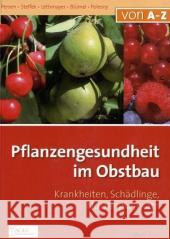 Pflanzengesundheit im Obstbau : Krankheiten, Schädlinge, Nützlingseinsatz Persen, Ulrike  Steffek, Robert  Lethmayer, Christa   9783704020963 AV Buch