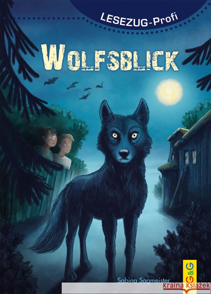 Wolfsblick Sagmeister, Sabina 9783707423792