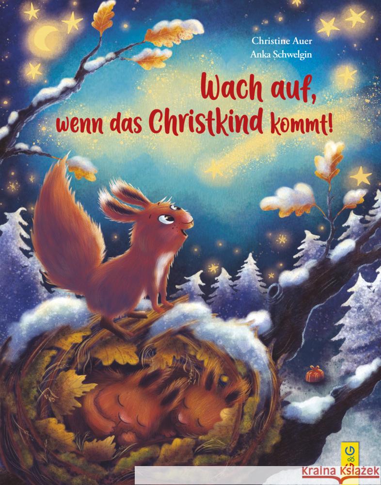 Wach auf, wenn das Christkind kommt! Auer, Christine 9783707425833