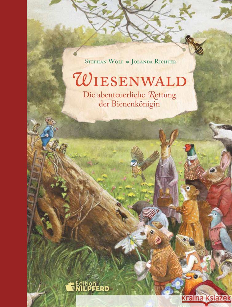 Wiesenwald Wolf, Stephan 9783707452570