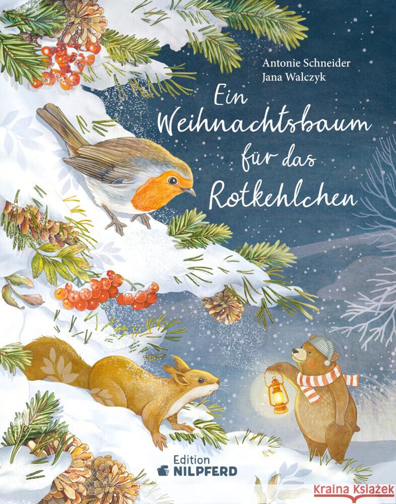 Ein Weihnachtsbaum für das Rotkehlchen Schneider, Antonie 9783707452693 G & G Verlagsgesellschaft