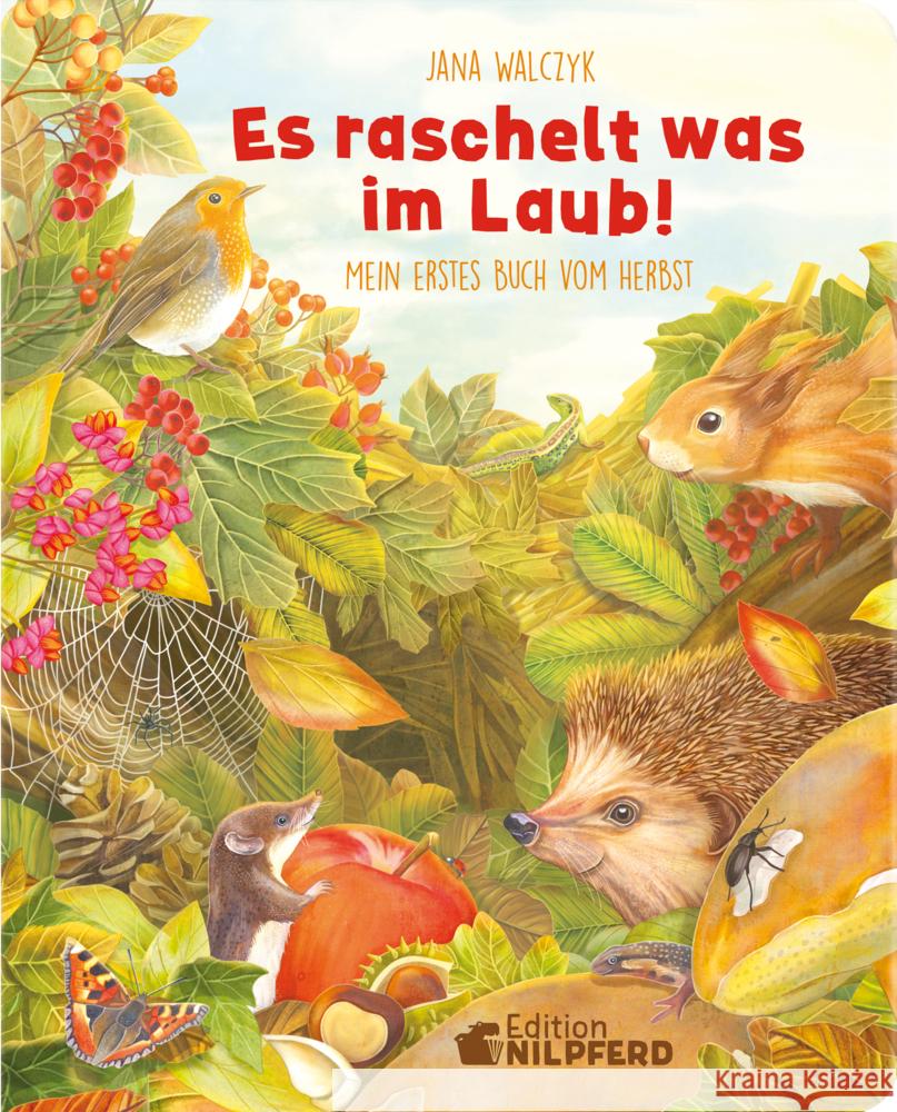 Es raschelt was im Laub Walczyk, Jana 9783707452990 G & G Verlagsgesellschaft