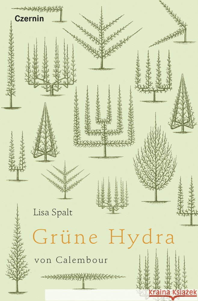 Grüne Hydra von Calembour Spalt, Lisa 9783707607956 Czernin