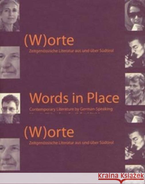 Words in Place: Contemporary Literature in South Tyrol Sigrun Wildner 9783708231921 Transaction Publishers