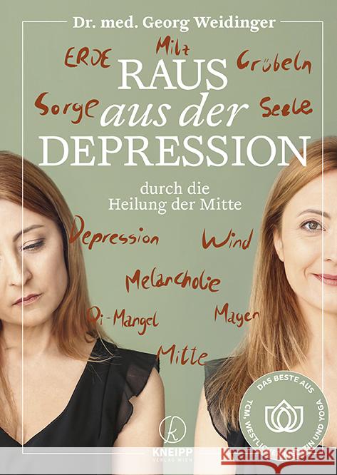 Raus aus der Depression durch die Heilung der Mitte Weidinger, Georg 9783708808192