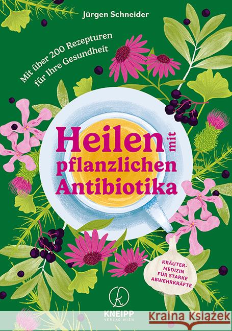 Heilen mit pflanzlichen Antibiotika Schneider, Jürgen 9783708808345