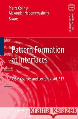 Pattern Formation at Interfaces Pierre Colinet 9783709101247