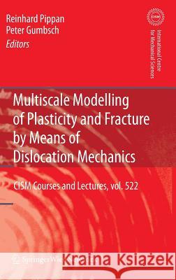 Multiscale Modelling of Plasticity and Fracture by Means of Dislocation Mechanics Reinhard Pippan Peter Gumbsch 9783709102824 Not Avail