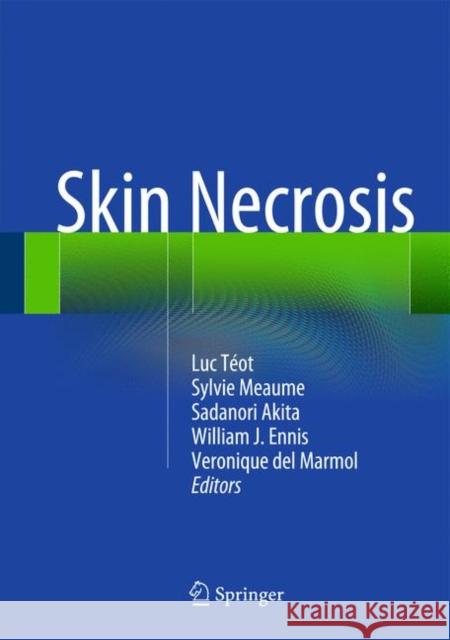 Skin Necrosis Luc T Sylvie Meaume V. Ronique De 9783709112403 Springer