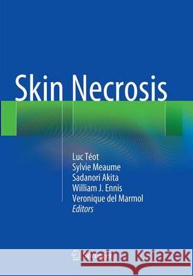 Skin Necrosis Luc Teot Sylvie Meaume Sadanori Akita 9783709119624 Springer