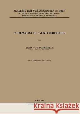 Schematische Gewitterfelder Egon Von Schweidler 9783709156674 Springer