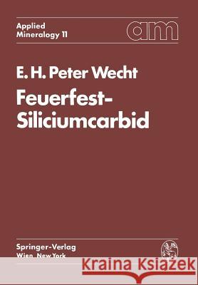 Feuerfest-Siliciumcarbid Ernst H. P. Wecht 9783709170694