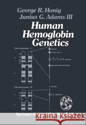Human Hemoglobin Genetics G. R. Honig J. G. Adams 9783709188002 Springer