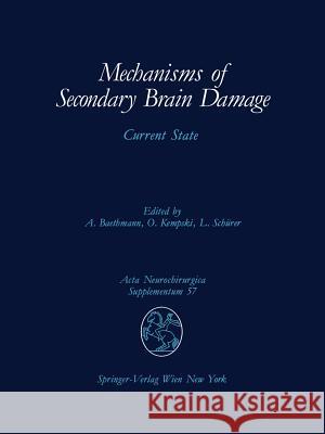 Mechanisms of Secondary Brain Damage: Current State Baethmann, Alexander 9783709192689