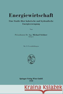 Energiewirtschaft: Eine Studie Über Kalorische Und Hydraulische Energieerzeugung Seidner, Michael 9783709197738 Springer