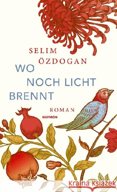 Wo noch Licht brennt : Roman Özdogan, Selim 9783709972991 Haymon Verlag