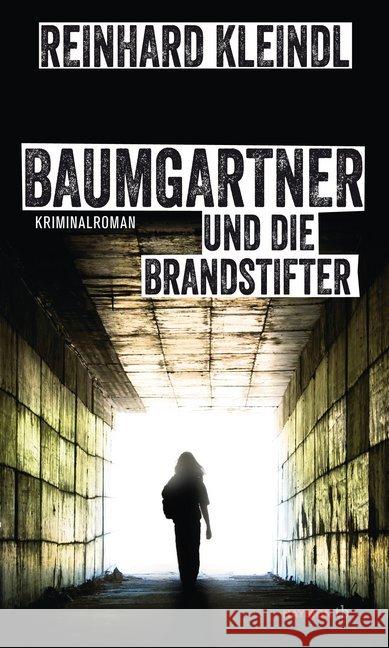 Baumgartner und die Brandstifter : Kriminalroman Kleindl, Reinhard 9783709978238 Haymon Verlag