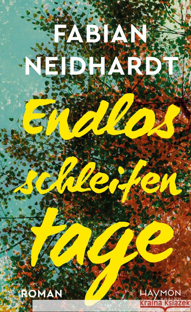Endlosschleifentage Neidhardt, Fabian 9783709982440