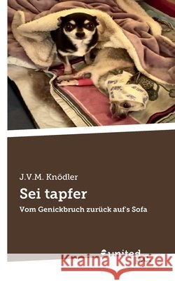Sei tapfer: Vom Genickbruch zur?ck auf's Sofa J V M Kn?dler 9783710358685