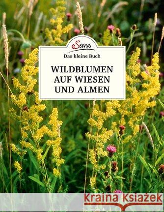 Das kleine Buch: Wildblumen auf Wiesen und Almen Wiegele, Miriam 9783710401756 Servus