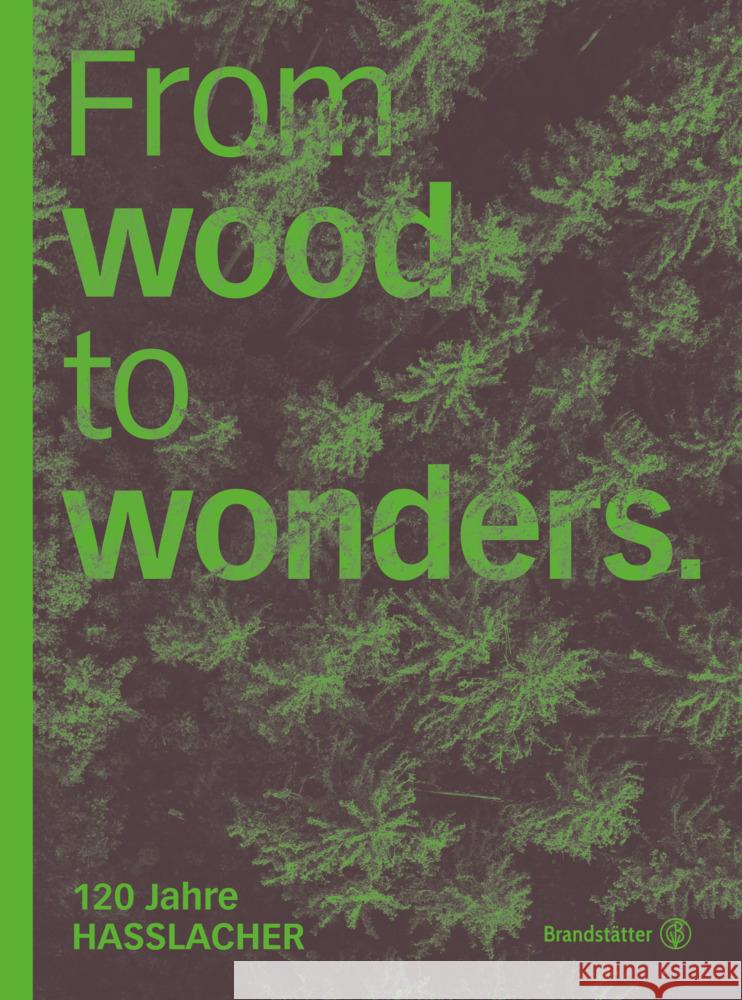 From wood to wonders Czernin, Monika 9783710605192